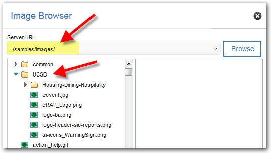 Cognos image browser screenshot