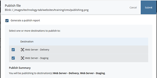 Screenshot: Publish file check options for delivery and/or staging
