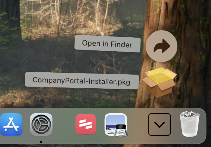 Screenshot of the downloads folder on the bottom mac taskbar 