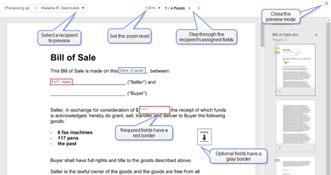 Screenshot: image of preview mode