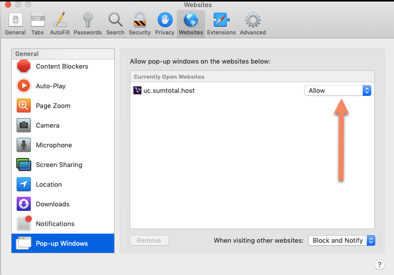 Screenshot of the "Websites" window with annotated arrow pointing to the "Allow" drop down