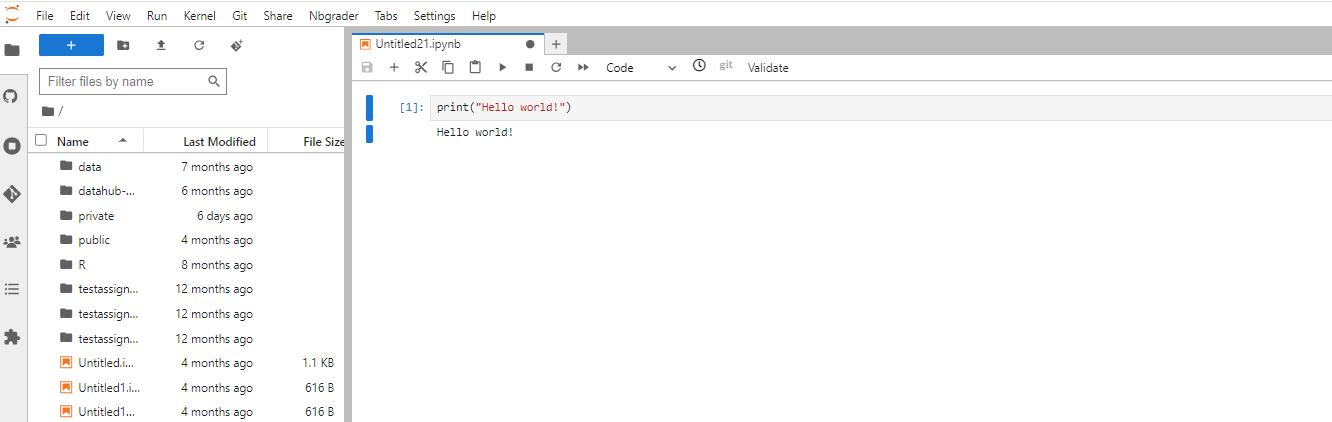 JupyterLab with a .ipynb file opened in the right pane. There are writeable/executable codeblocks.