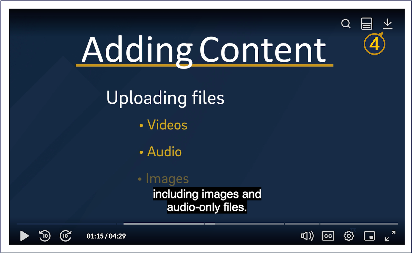 A screenshot of the Kaltura media player with the in-player download button visible.