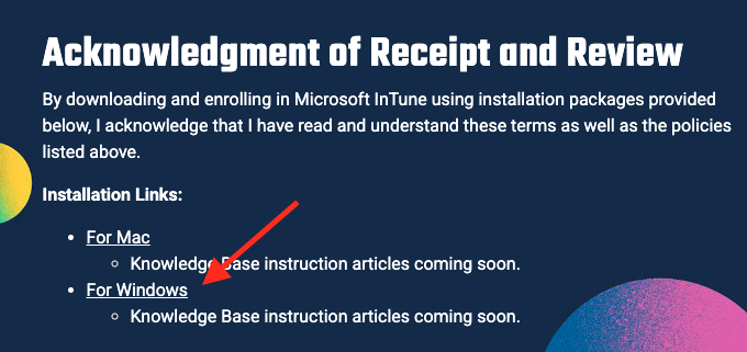 Screenshot of Blink page with a red page pointing to the Windows Installation link
