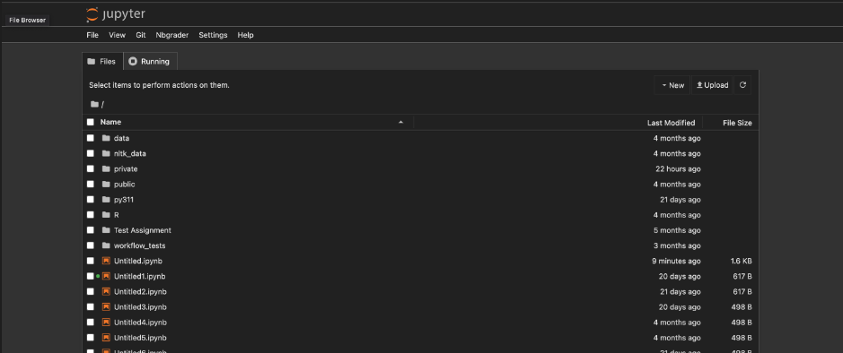 The file explorer for Notebook 7, which takes up the entire page as opposed to the modal JupyterLab UI.